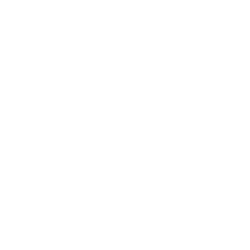 Dweb Consult WordPress Development
